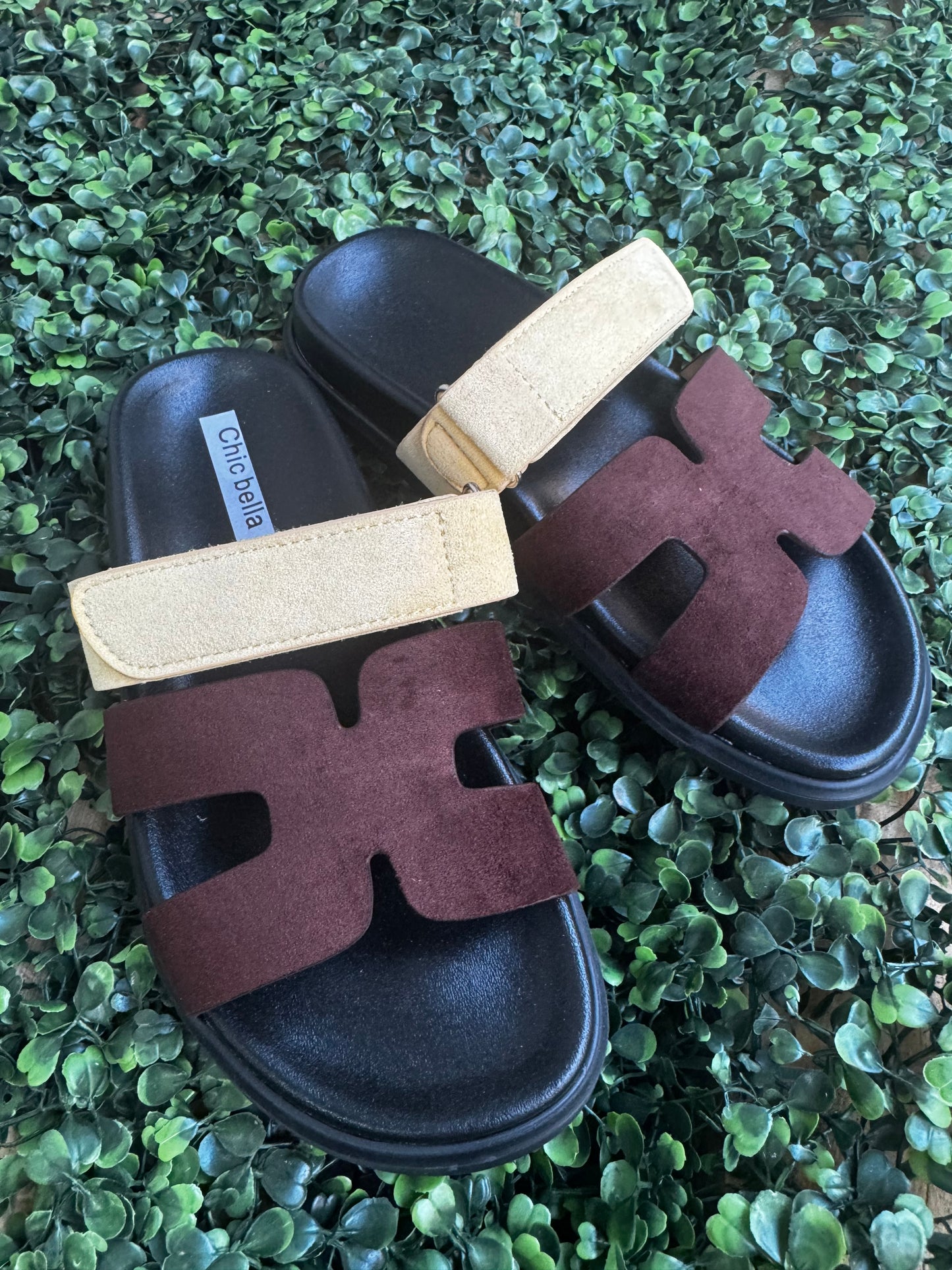 Sandalo hermoso Brown